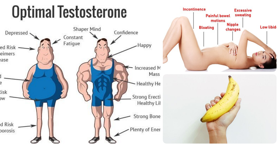 Testosterona alta en mujeres y aumento de peso