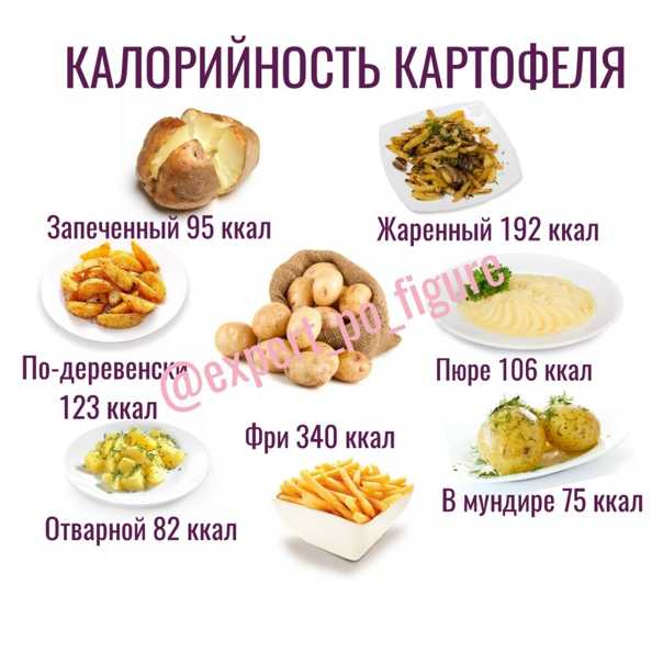 Можно ли съесть вареное. Можно есть картошку при похудении. Можно есть картошку на диете. Картошку можно есть при диете. Можно ли кушать картофель при похудении.