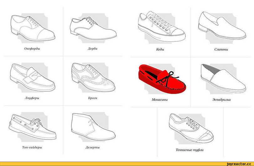 Отличие кед от кроссовок. Спортивная обувь название. Названия обуви кроссовок. Виды мужских кроссовок. Мужская обувь типа кроссовок.