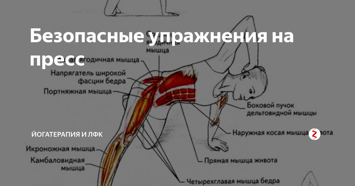 Мышца напрягающая. Упражнения для мышц бедра. Портняжная мышца упражнения. Средняя ягодичная мышца упражнения. Упражнения на прямую мышцу бедра.