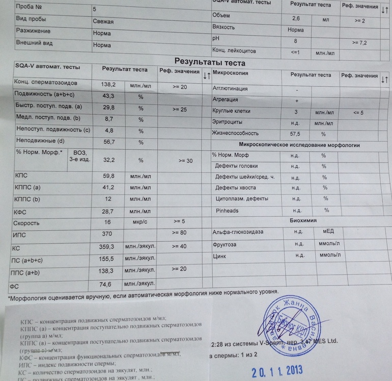 Спермограмма морфология 2. Спермограмма Результаты. Повышенная вязкость в спермограмме. Дефекты шейки в спермограмме норма. Максимальный объем эякулята.