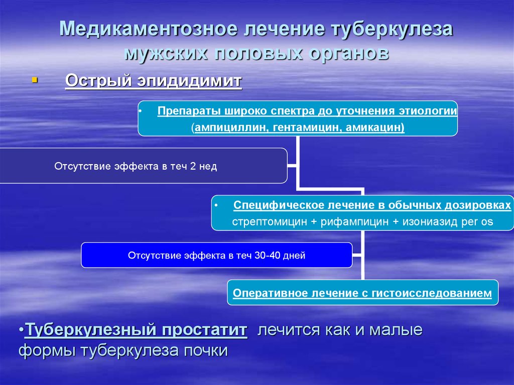 Туберкулез половых органов у женщин. Туберкулез женских органов патогенез. Патогенез туберкулеза половых органов. Туберкулез мужских половых органов патогенез. Туберкулез женских половых органов классификация.