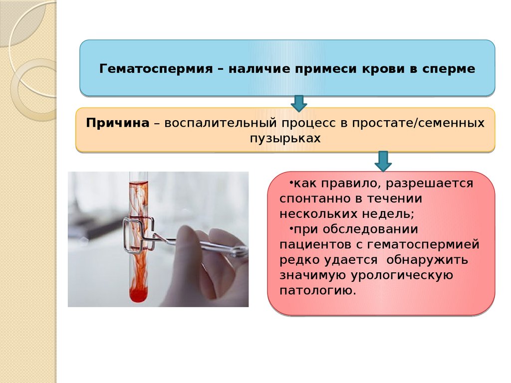 Наличие примесей. Методы обследования в урологии. Методы обследования больных с урологическими заболеваниями. Методы исследования урологических больных. Методика обследования урологических больных.