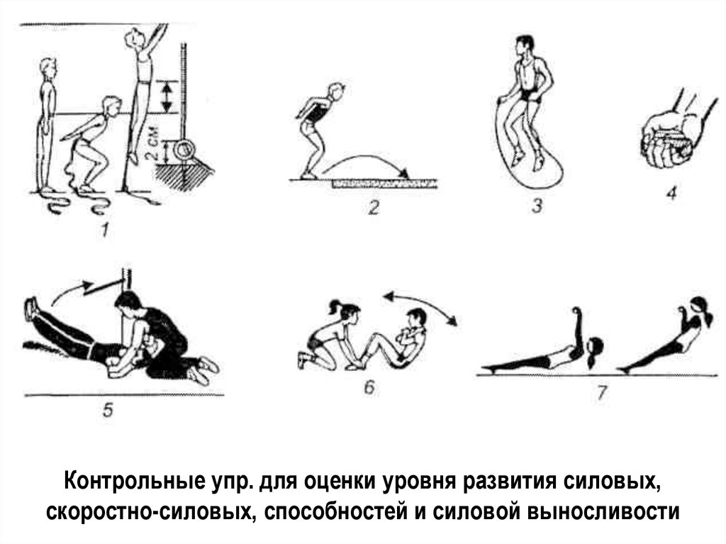 Упражнения на выносливость картинки