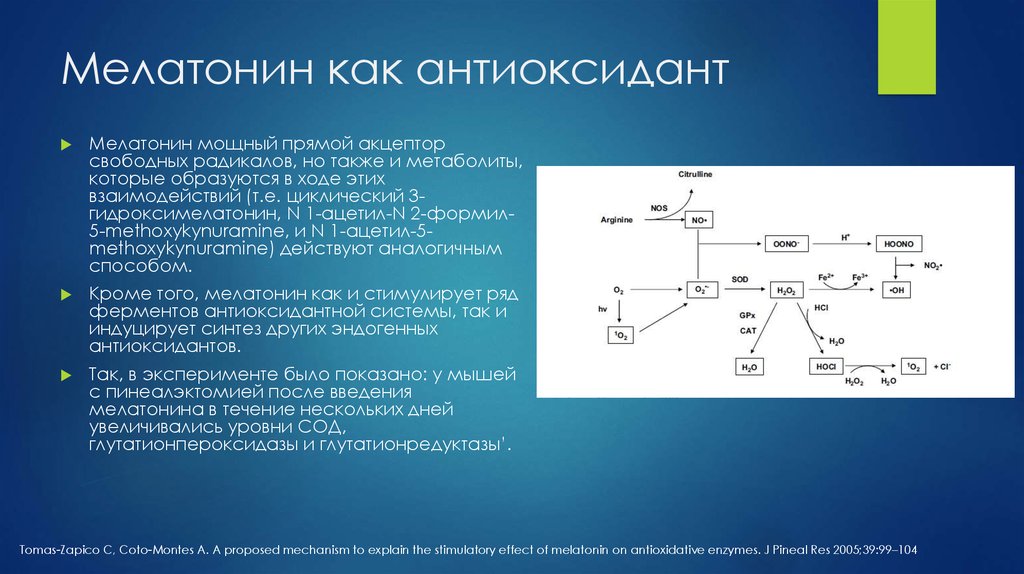 Синтез мелатонина