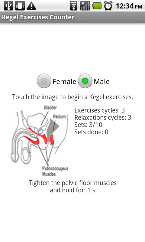 Кегель для мужчин фото. Kegel exercises для чего. Kegel muscle. Kegel for male. Kegel как работает.