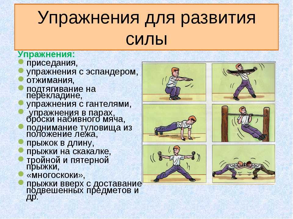Комплекс упражнений для развития общей выносливости. Упражнения на развитие силы физкультура. 5 Упражнений на силу по физкультуре. Упражнения для развития силы и гибкости. Физические качества сила упражнения.