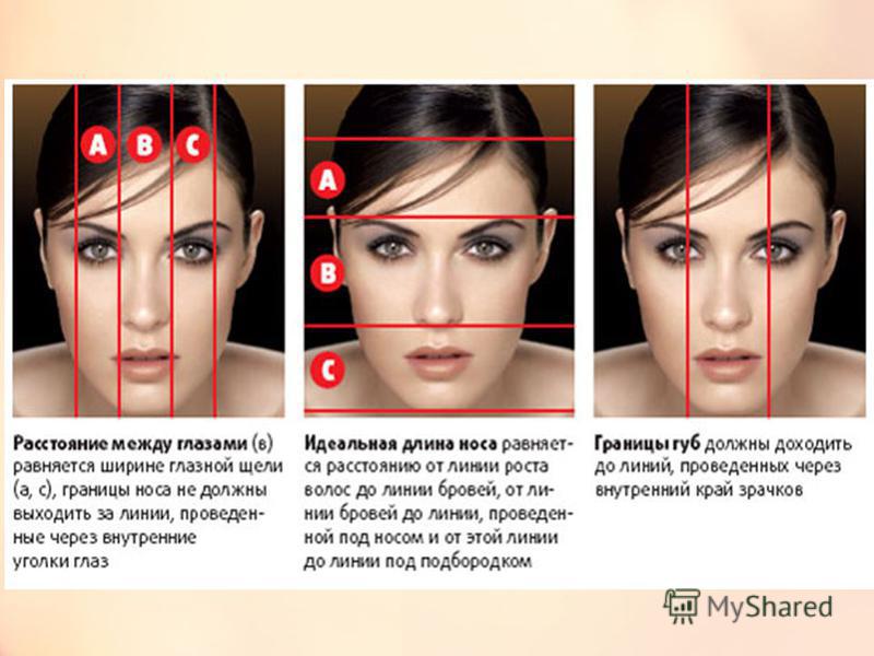 Между глаз. Правильные черты лица пропорции. Золотое сечение пропорции лица. Идеальная форма лица пропорции. Линии пропорции лица.
