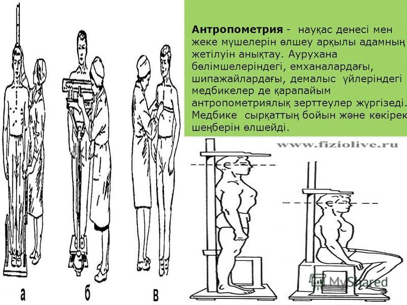 Антропометрические исследования