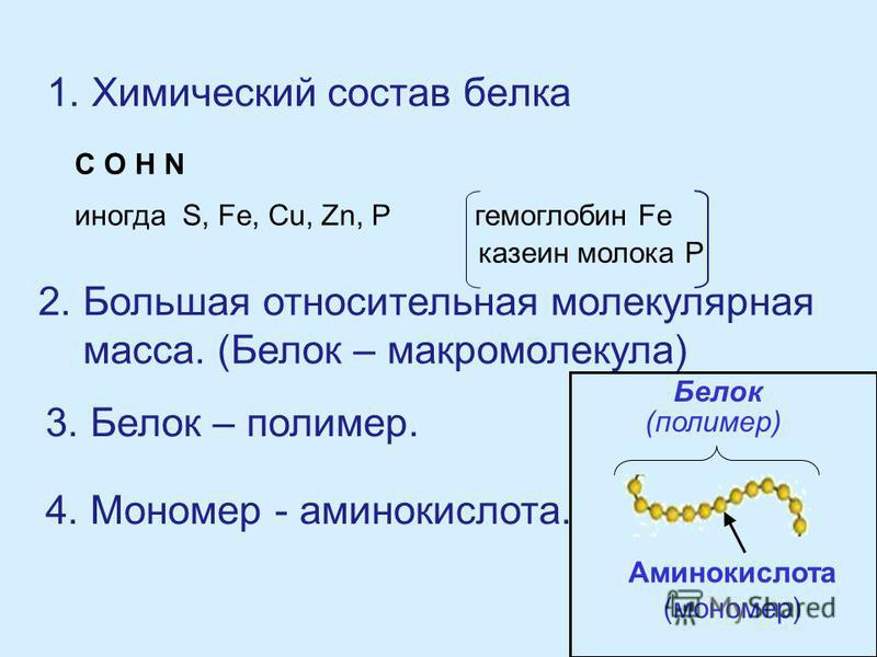 Белка по составу. Химический состав белков. Хим состав белка. Молекулярная масса белка молока. Молекулярная масса казеина.