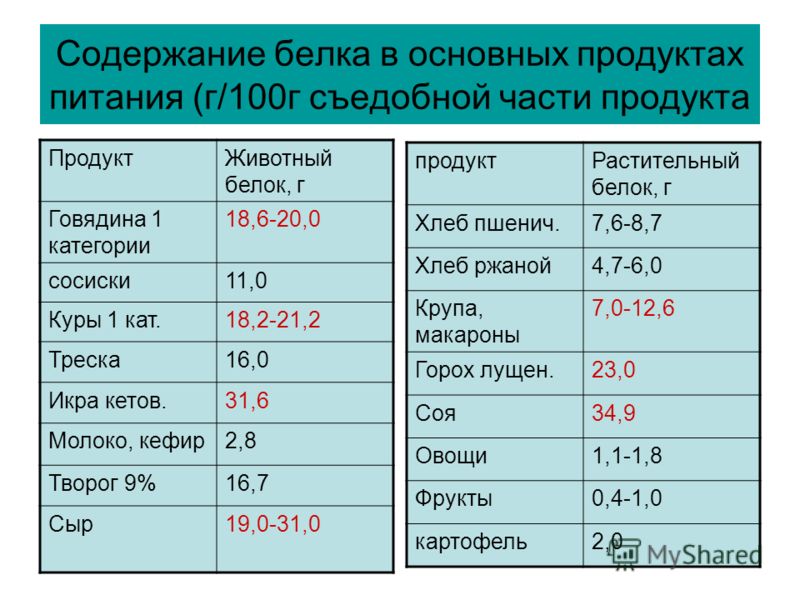 Краткое содержание белков. Содержание белка в продуктах на 100г. Белок содержание. Содержание белка в 100 г продуктов. Препараты с высоким содержанием белка.