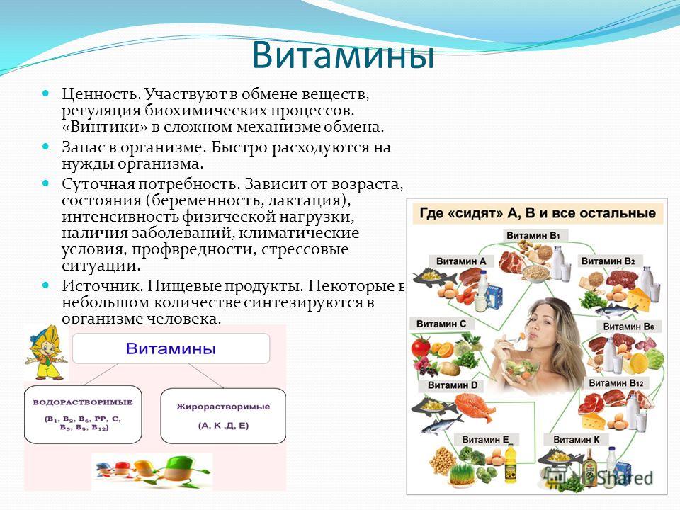 Роль питания в обмене веществ кратко. Обмен веществ и энергии витамины. Витамины для обмена веществ. Витамин к участие в обменных процессах. Роль витаминов в обменных процессах.