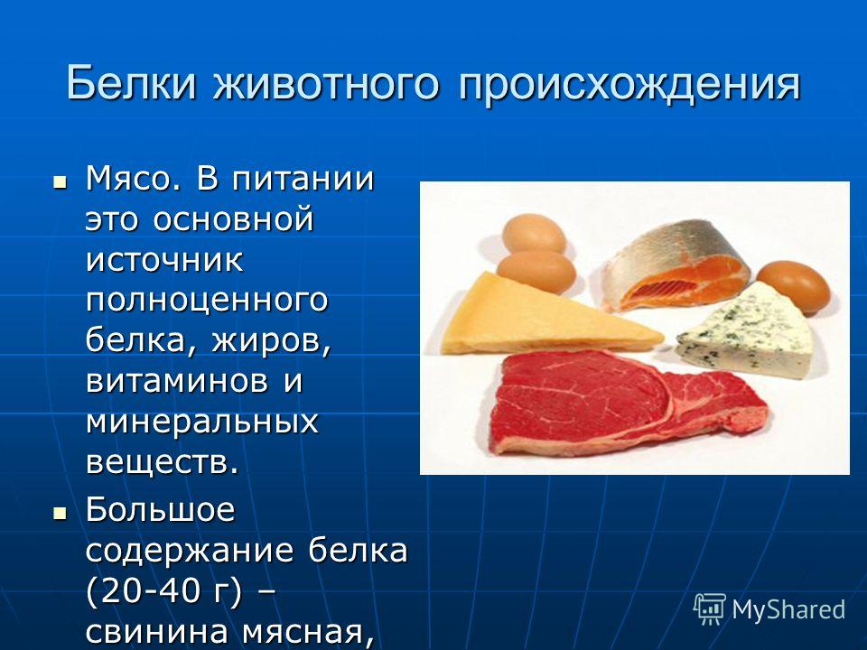 Мясо это белок. Белки животного происхождения. Основной источник белка. Основные источники животного белка. Основные источники белков в питании.