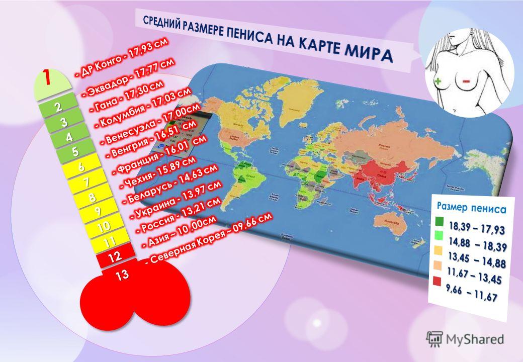 Карта размеров мужских достоинств