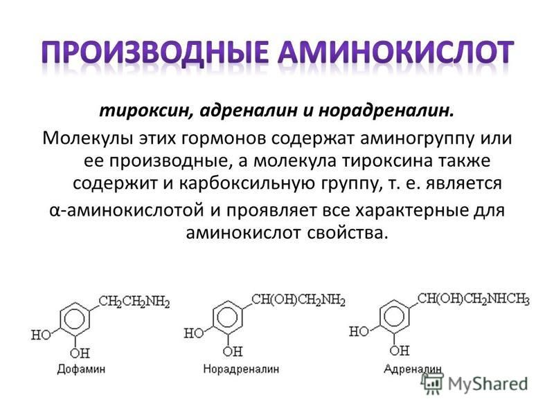 Гормоны содержат. Гормоны производные аминокислоты тирозин это. Гормоны производных аминокислот. Группы гормонов производных аминокислот. Гормон-производное тирозина.