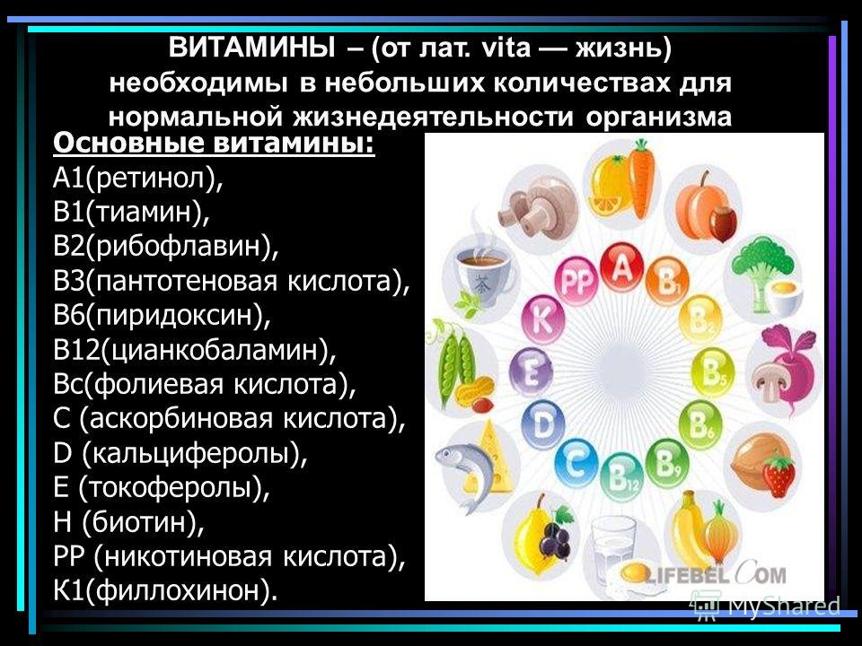 Для нормальной жизнедеятельности человеку необходимы. Витамины. Жизненно важные витамины. Витамины в организме человека. Витамины необходимые для организма человека.