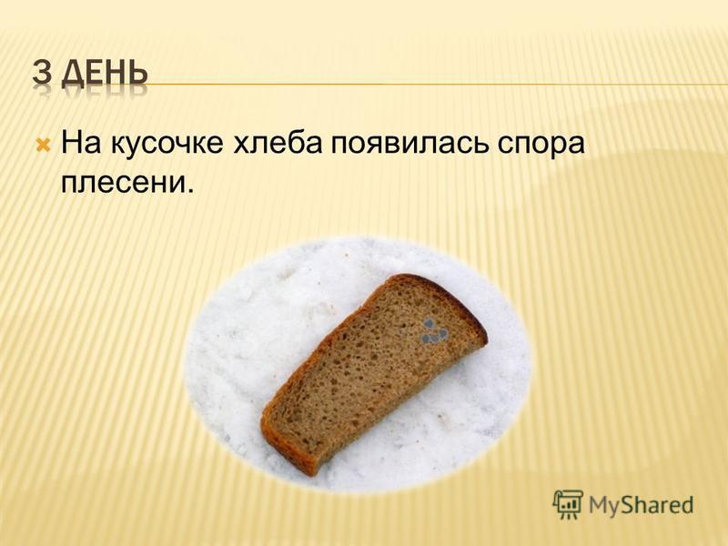 Кусок хлеба с маслом калории