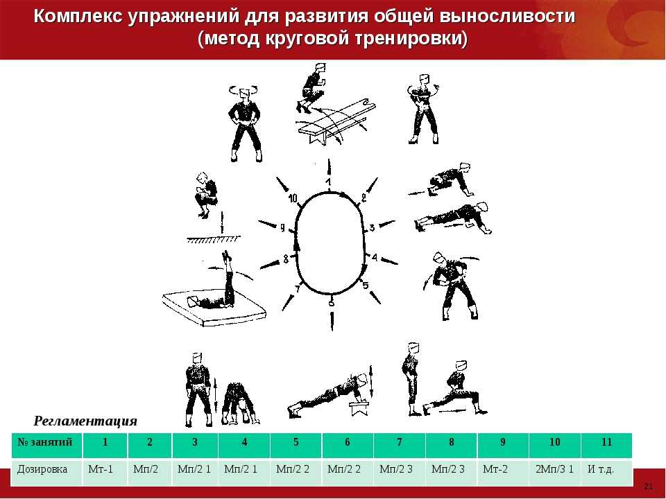 Тренировочные упражнения 5. Комплекс упражнений для развития выносливости. Круговая тренировка на выносливость. Круговая тренировка на развитие выносливости. Комплекс круговых упражнений.