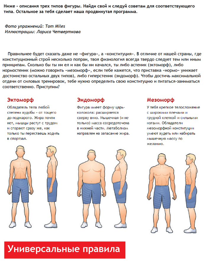 Как определить тип телосложения