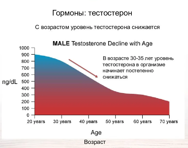 Изменение мужчины по возрасту. Тестостерон график от возраста. График выработки тестостерона у мужчин. Зависимость тестостерона от возраста. Снижение уровня тестостерона.