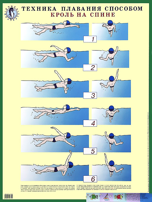 Обучение плаванию кроль на спине. Способ плавания Кроль. Техники плавания Кроль на спине. Виды плавания Кроль на спине. Кроль на спине техника плавания.
