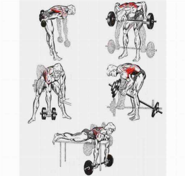 Как прокачать спину в домашних условиях. Упражнения для накачивания мышц спины. Тренировка широчайших мышц спины гантелями. Прокачка широчайших мышц спины штангой. Упражнения для накачивания спины с гантелями.