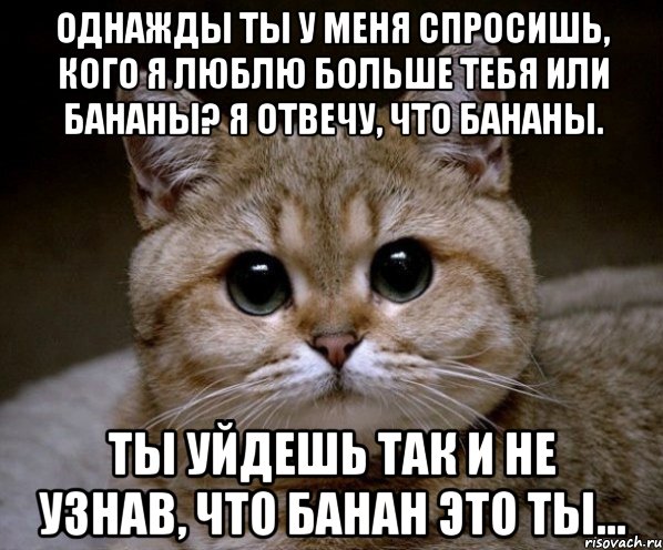 Немного любишь. Ты спросишь кого я люблю больше. Ты спросишь кого я люблю больше тебя или. Кого я люблю больше тебя или. Однажды ты спросишь меня.