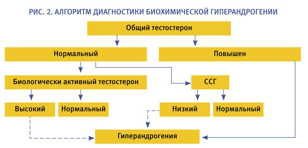 Повысить индекс свободных андрогенов. Тестостерон общий и Свободный. Общий тестостерон и Свободный тестостерон. Гормоны при гиперандрогении у женщин. Тестостерон биологически активный.