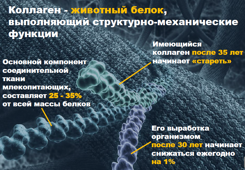 Что такое коллаген картинка