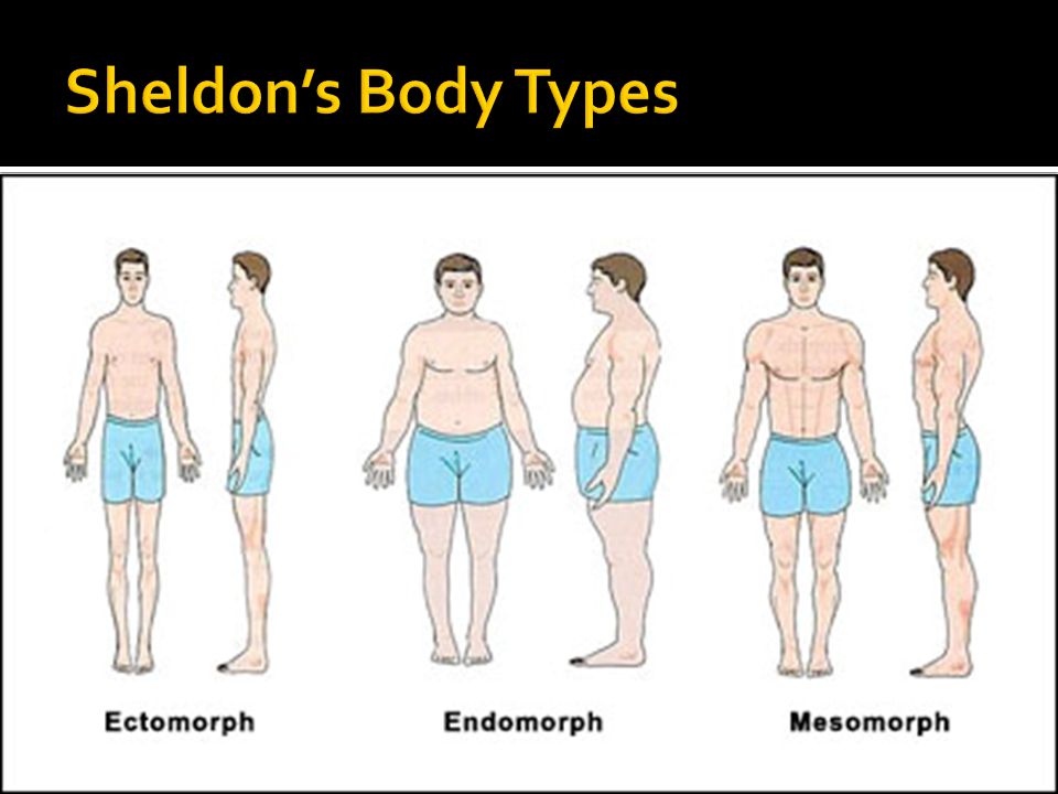 Что значит приземистый. Эктоморф мезоморф и эндоморф Шелдон. Типы мужских фигур. Мезоморфный Тип телосложения. Типы телосложения у мужчин.