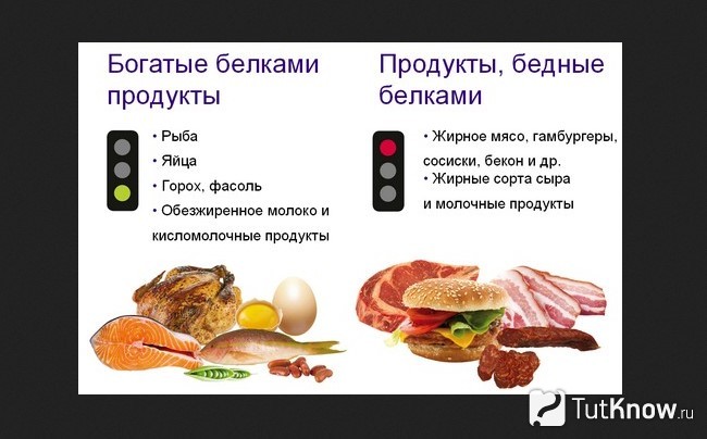 Какой белок обеспечивает. Белковая пища для набора мышечной массы. Продукты богатые белком для набора мышечной массы. Белковая пища список для набора веса. Насыщенную жирами и белками пищу.