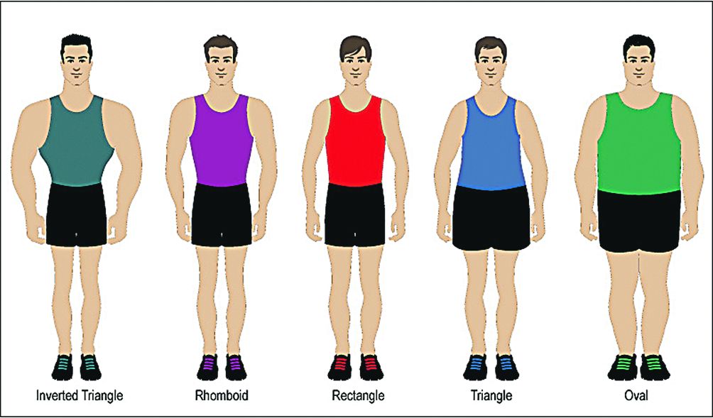 Виды u. Типы мужских фигур. Типажи фигуры мужчин. Типы мужского телосложения. Форма тела груша у мужчин.
