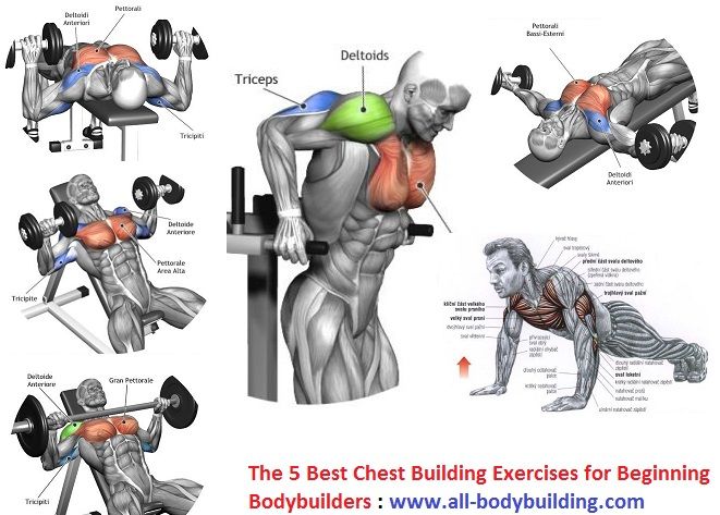 Упражнения в зале для грудных мышц мужчин