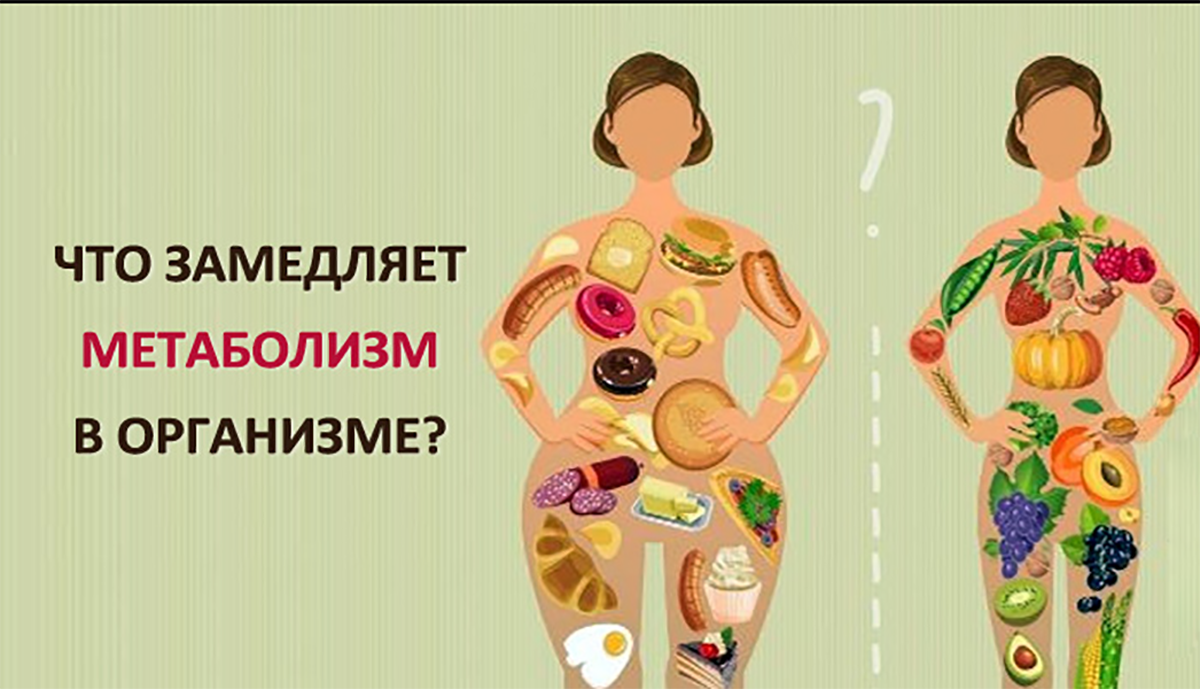 Будучи в теле. Замедленный метаболизм. Продукты способствующие похудению ускоряющие метаболизм. Что замедляет обмен веществ. Ускоренный метаболизм.