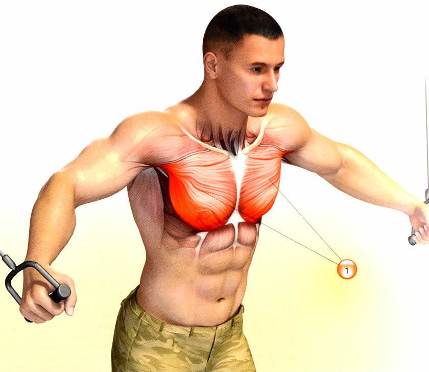 Удаление грудной мышцы. Упражнения на грудь. Занятия на грудные мышцы. Упражнения для развития грудных мышц. Накаченный верх грудных мышц.