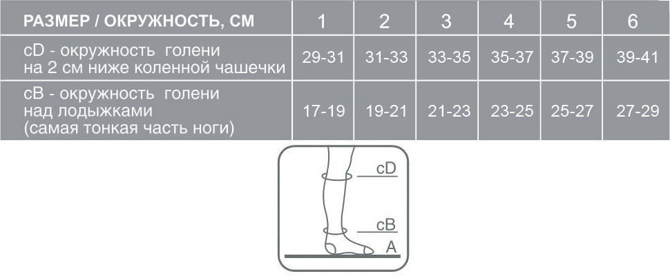 Диаметр голени. Ergoforma гольфы компрессионные Размерная сетка. Гольфы компрессионные Эргоформа Размерная сетка. Эргоформа гольфы компрессионные Тревел Размеры. Эргоформа гольфы компрессионные таблица размеров.