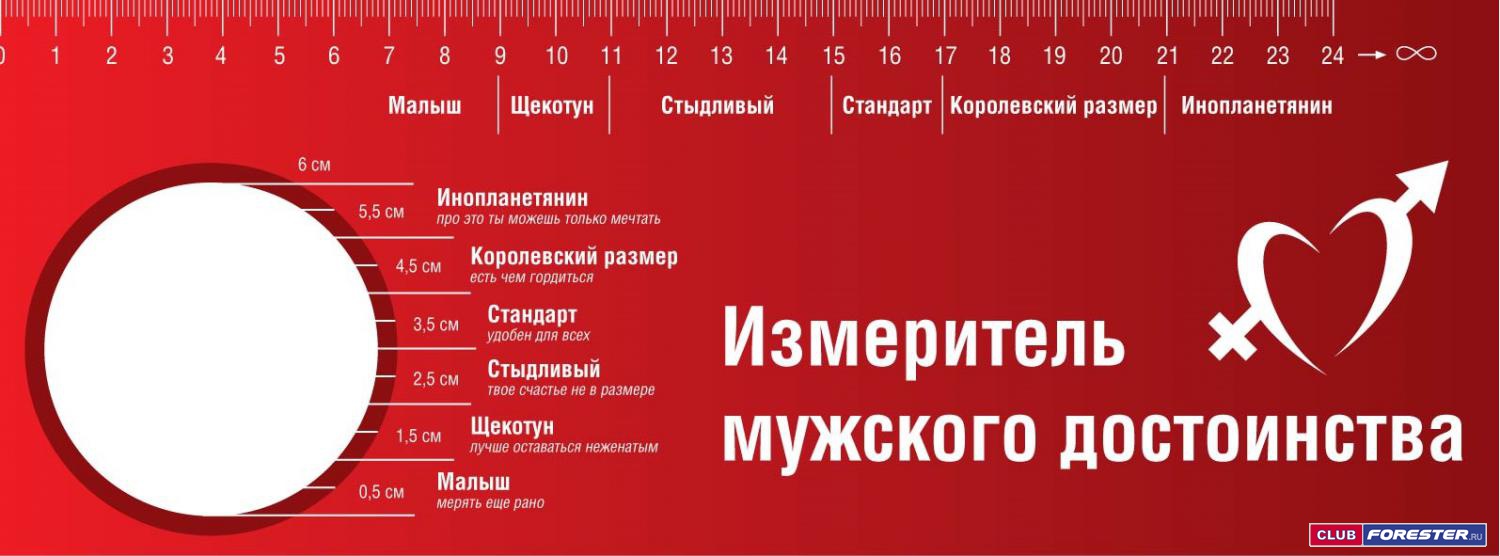 Мужчины разными членами. Средний диаметр члена. Размер мужского достоинства. Среднестатистический размер мужского достоинства. Средний размер члена в России.