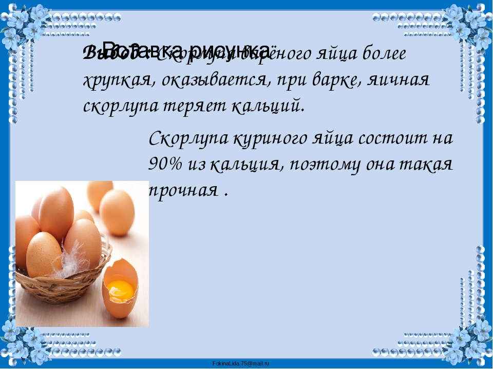 Можно ли давать щенкам яйца. Заключение про куриное яйцо. А прочно ли куриное яйцо исследовательская работа. Вывод куриных яиц. Полезные вещества в яйце курином.
