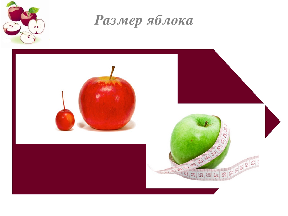 Сколько вес яблока. Размер яблока. Размер среднего яблока. Средний диаметр яблока. Размер яблока средней длины.