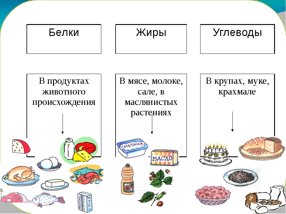 Список продуктов картинка для детей