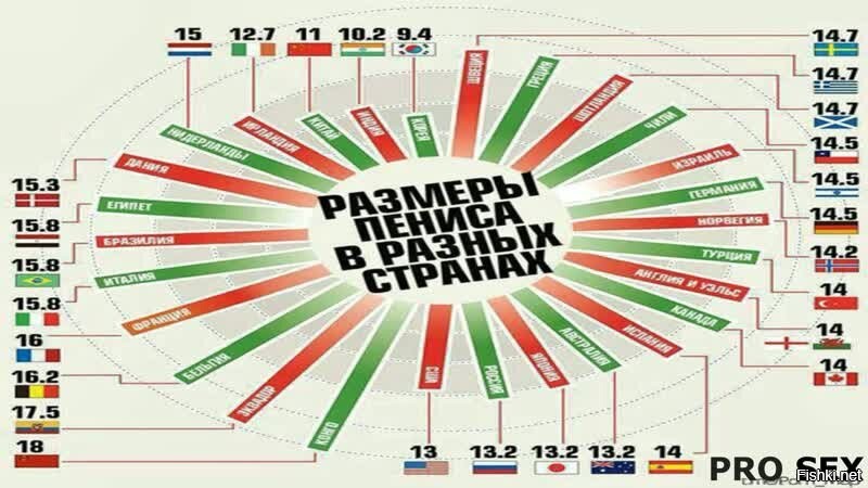 Средний размер половового органа у мужчины в россии фото