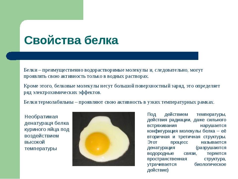 Свойства белков денатурация. Яичный белок. Белок куриного яйца свойства. Структура яичного белка.