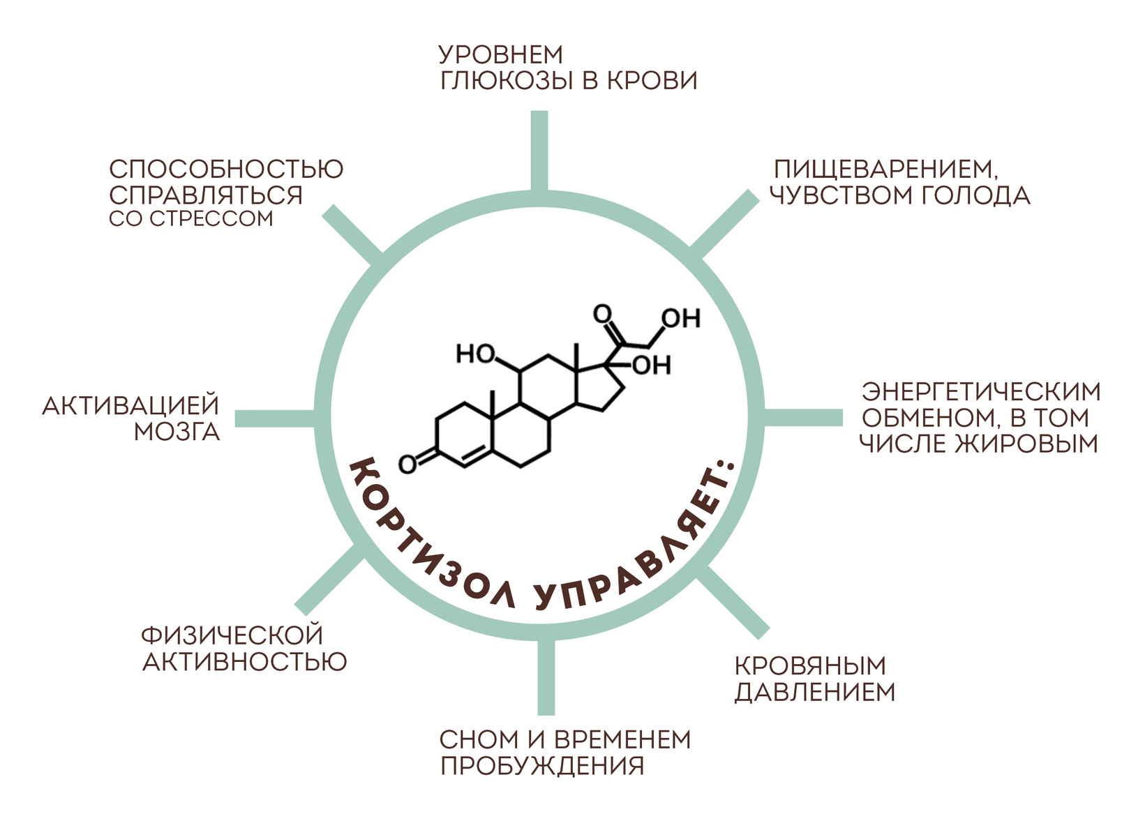 Кортизол гормон чего. Гормоны стресса. Кортизол у мужчин. Уровень кортизола.