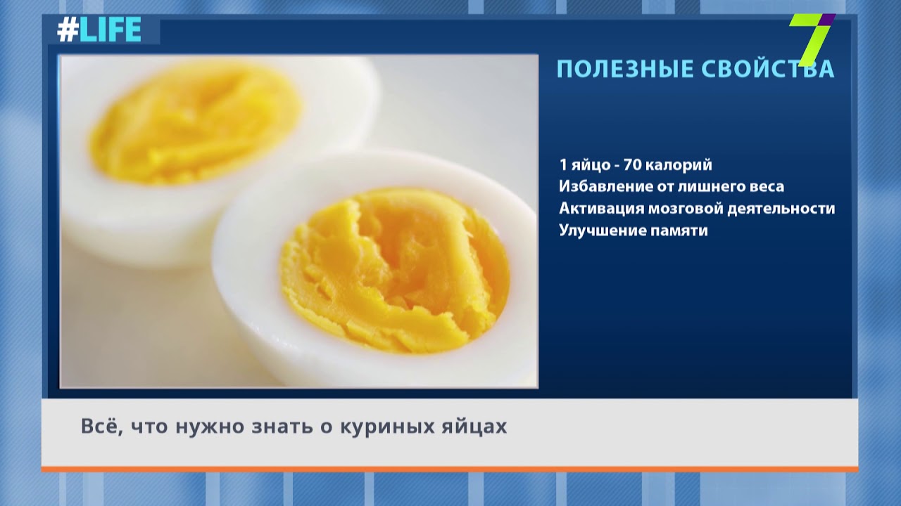Сколько весит желток яйца. Яичница 3 яйца калорийность. Полезные свойства яиц. Желток калорийность. Бактерии в яйцах куриных название.