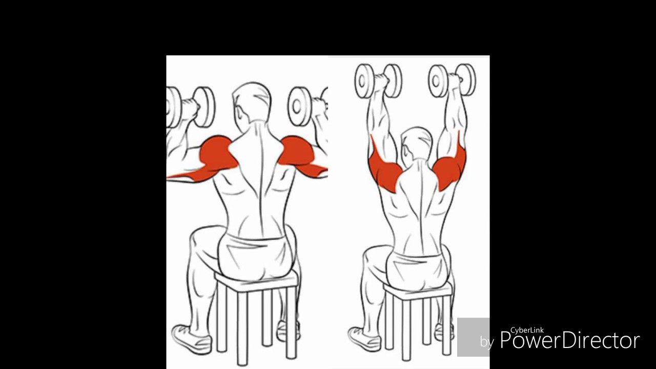 Жим гантелей сидя. Жим гантелей вверх сидя мышцы. Жим гантелей сидя вверх Дельта. Жим гантелей вверх стоя мышцы. Жим гантелей сидя вверх техника.