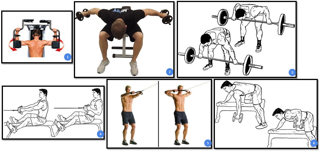 Упражнения на спину в тренажерном зале для мужчин на рельеф с картинками для начинающих