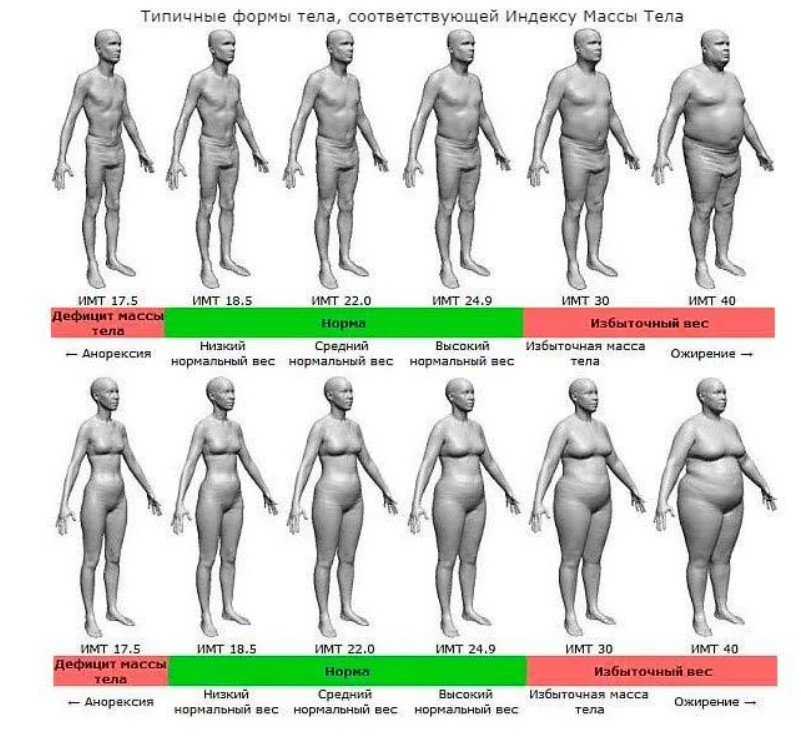 Норма жира в организме мужчины. Норма процентного содержания жира в организме. Как определить процент содержания жира. Процент жира в организме мужчины таблица. Процент жира у мужчин таблица.
