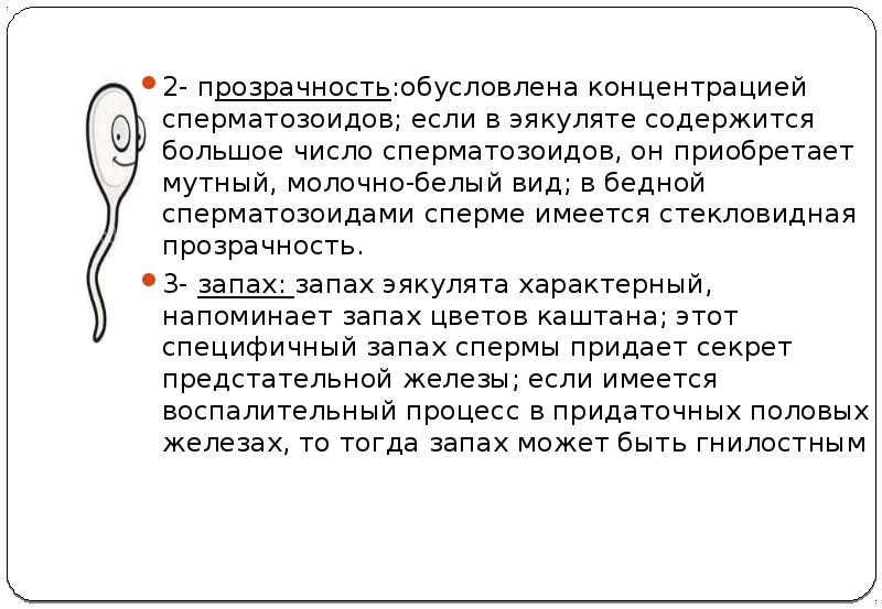 Молодая девушка сбилась со счёта, сколько спермы она проглотила