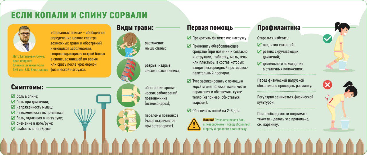 Что нужно делать после. Что делать если сорвал спину. Что делать если Сара спину. Если сорвал спину что делать и как лечить. Что делать если сорвал спину от тяжести.