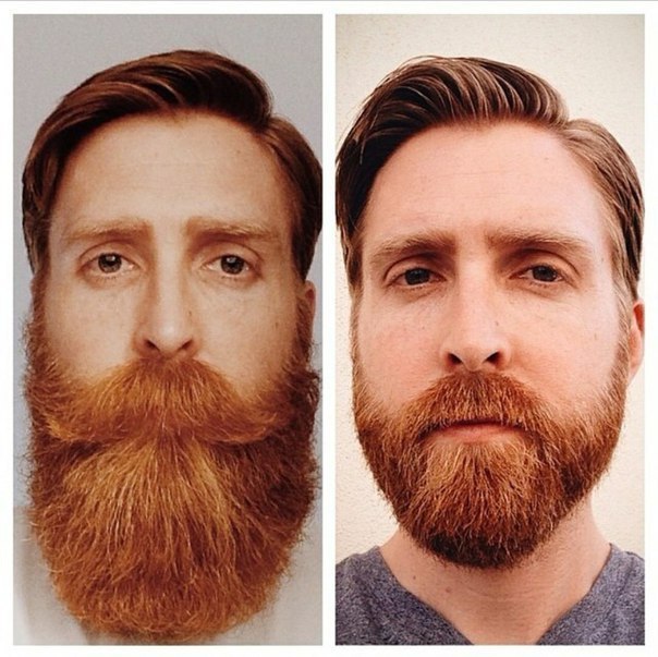 Борода по типу лица онлайн по фото